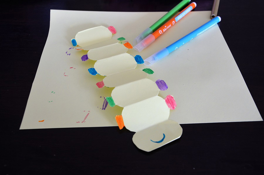 Chenille papier qui avance